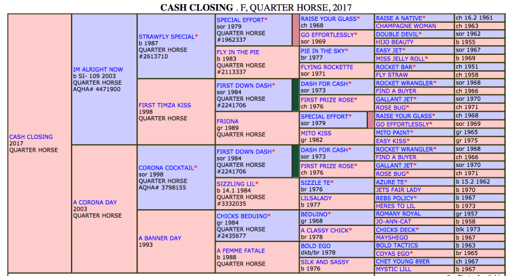 Screen Shot 2018-08-27 at 9.05.26 PM