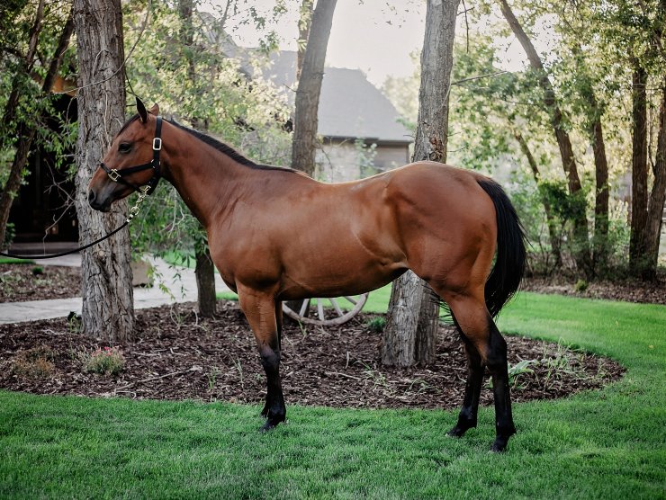 theblackandwhiteblog-7016