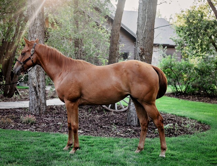 theblackandwhiteblog-7146